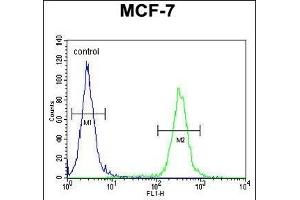 NKPD1 Antibody (C-term) (ABIN654870 and ABIN2844528) flow cytometric analysis of MCF-7 cells (right histogram) compared to a negative control cell (left histogram). (NKPD1 抗体  (C-Term))