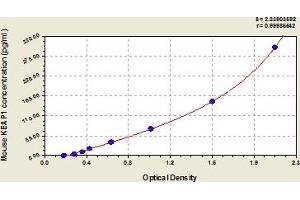 Typical Standard Curve (KEAP1 ELISA 试剂盒)