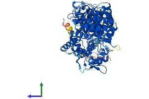 AlphaFold protein structure predicition of Human Recombinant ZYG11B Protein, UniprotID Q9C0D3 (ZYG11B Protein (AA 1-744) (His tag))