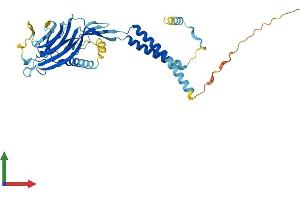 Protein Structure (PS) image for ERGIC and Golgi 2 (ERGIC2) (AA 1-377) protein (His tag) (ABIN7560623)