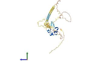 AlphaFold protein structure predicition of Human Recombinant CXXC5 Protein, UniprotID Q7LFL8