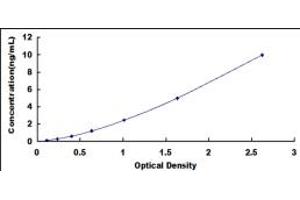 Typical standard curve (Myopalladin ELISA 试剂盒)