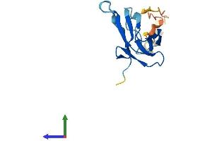 Protein Structure (PS) image for Von Hippel-Lindau Tumor Suppressor-Like (VHLL) (AA 1-139) protein (His tag) (ABIN7545031)