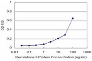 Detection limit for recombinant GST tagged CDK4 is approximately 3ng/ml as a capture antibody. (CDK4 抗体  (AA 211-303))