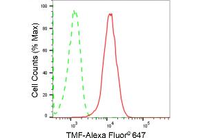 Flow cytometric analysis of TMF expression in HepG2 cells using TMF antibody (ABIN7800518), 1:2,000). (Recombinant TMF1 抗体)