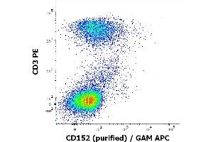 Flow cytometry multicolor surface staining of human PHA stimulated lymphocytes stained using anti-human CD152 (BNI3) purified antibody (concentration in sample 10 μg/mL, GAM APC) and anti-human CD3 (UCHT1) PE antibody (20 μL reagent / 100 μL of peripheral whole blood). (CTLA4 抗体)
