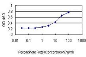 Detection limit for recombinant GST tagged IGSF6 is approximately 1ng/ml as a capture antibody. (IGSF6 抗体  (AA 29-241))