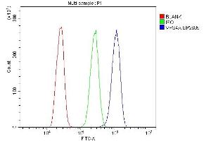 Flow Cytometry analysis of A431 cells using anti-VPS4A antibody (ABIN7599531).