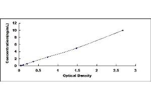 Typical standard curve (DNMT3L ELISA 试剂盒)