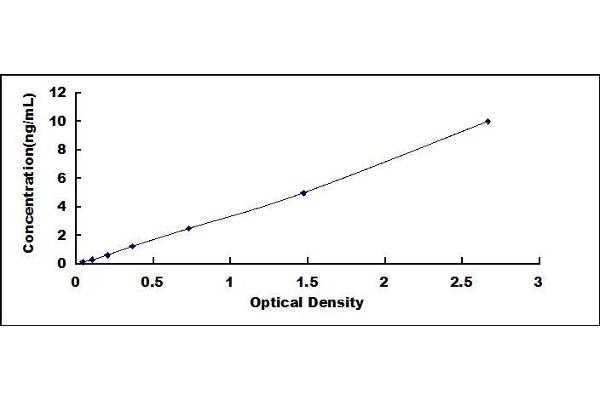 DNMT3L ELISA 试剂盒