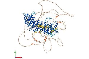 AlphaFold protein structure predicition of Mouse Recombinant Ppp6r2 Protein, UniprotID Q8R3Q2