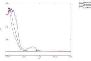 Mass Spec of Protein Standard from the Kit (E2). (Estradiol ELISA 试剂盒)