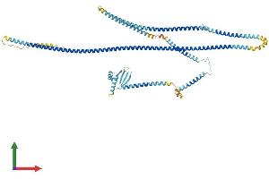 Protein Structure (PS) image for MAD1 Mitotic Arrest Deficient-Like 1 (MAD1L1) (AA 1-718) protein (His tag) (ABIN7554507)