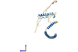 Protein Structure (PS) image for Hexamthylene Bis-Acetamide Inducible 2 (HEXIM2) (AA 1-286) protein (His tag) (ABIN7548266)