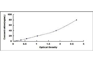 Typical standard curve (ORM1 ELISA 试剂盒)