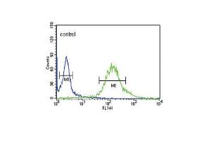 GTSE1 Antibody (C-term) (ABIN653838 and ABIN2843102) flow cytometric analysis of Hela cells (right histogram) compared to a negative control cell (left histogram). (GTSE1 抗体  (C-Term))