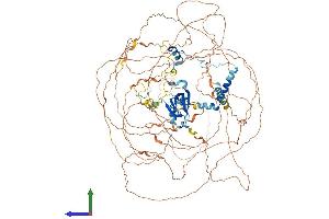 Protein Structure (PS) image for Ataxin 2-Like (ATXN2L) (AA 1-1075) protein (His tag) (ABIN7552644)