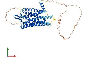 Protein Structure (PS) image for Galanin Receptor 2 (GALR2) (AA 1-387) protein (His tag) (ABIN7547951)