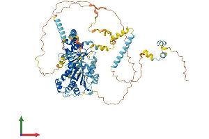 Protein Structure (PS) image for DEAD (Asp-Glu-Ala-Asp) Box Polypeptide 27 (DDX27) (AA 1-760) protein (His tag) (ABIN7560199)