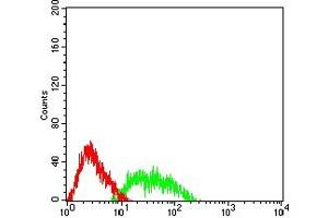Flow cytometric analysis of HL-60 cells using CD307C mouse mAb (green) and negative control (red). (FCRL3 抗体  (AA 18-153))