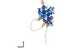Protein Structure (PS) image for Smith-Magenis Syndrome Chromosome Region, Candidate 7-Like (SMCR7L) (AA 1-463) protein (His tag) (ABIN7564345)
