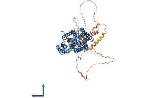 Protein Structure (PS) image for Solute Carrier Family 20 (Phosphate Transporter), Member 1 (SLC20A1) (AA 1-681) protein (His tag) (ABIN7563925)
