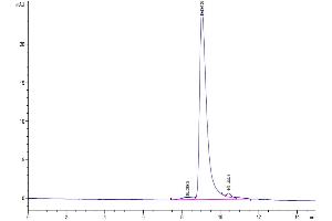 Size-exclusion chromatography-High Pressure Liquid Chromatography (SEC-HPLC) image for SARS-CoV-2 Spike (BA.2.12.1 - Omicron), (RBD) protein (His tag) (ABIN7273900)
