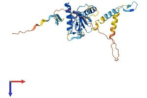 Glutaredoxin, Cysteine Rich 1 (GRXCR1) (AA 1-290) protein (His tag)