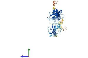 Protein Structure (PS) image for Ring Finger Protein 144B (RNF144B) (AA 1-301) protein (His tag) (ABIN7558719)