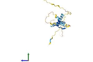 Protein Structure (PS) image for Transcription Factor 15 (Basic Helix-Loop-Helix) (TCF15) (AA 1-199) protein (His tag) (ABIN7544335)