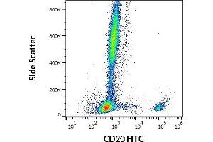 Flow cytometry surface staining pattern of human peripheral whole blood stained using anti-human CD20 (2H7) FITC antibody (20 μL reagent / 100 μL of peripheral whole blood). (CD20 抗体  (FITC))