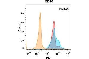 CD46 protein is highly expressed on the surface of Expi293 cell membrane. (CD46 抗体  (AA 35-328))