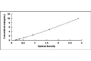 Typical standard curve (NCF2 ELISA 试剂盒)