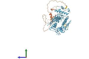 Protein Structure (PS) image for Zinc Finger Protein 254 (ZNF254) (AA 1-659) protein (His tag) (ABIN7545453)
