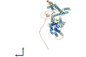 Protein Structure (PS) image for RUN Domain Containing 1 (RUNDC1) (AA 1-613) protein (His tag) (ABIN7551635)