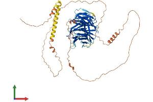 AlphaFold protein structure predicition of Mouse Recombinant Tle6 Protein, UniprotID Q9WVB3