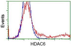 HEK293T cells transfected with either RC209649 overexpress plasmid (Red) or empty vector control plasmid (Blue) were immunostained by anti-HDAC6 antibody (ABIN2454079), and then analyzed by flow cytometry. (HDAC6 抗体)