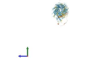 Protein Structure (PS) image for ZFP91 Zinc Finger Protein (ZFP91) (AA 1-1191) protein (His tag) (ABIN7556123)
