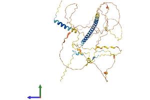 Protein Structure (PS) image for Shugoshin 1 (SGOL1) (AA 1-517) protein (His tag) (ABIN7564961)