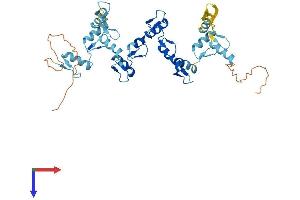 ZNF322A Protein (AA 1-402) (His tag)