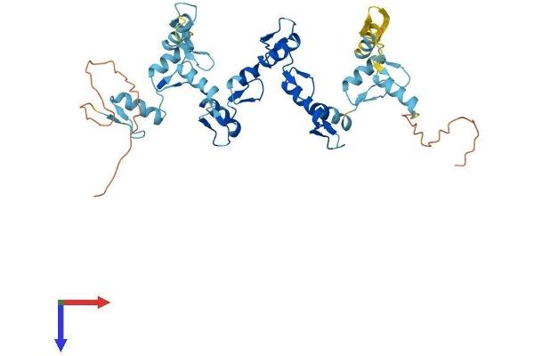 ZNF322A Protein (AA 1-402) (His tag)