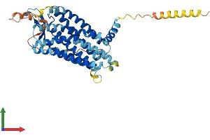 Protein Structure (PS) image for Bradykinin Receptor B2 (BDKRB2) (AA 1-392) protein (His tag) (ABIN7563132)
