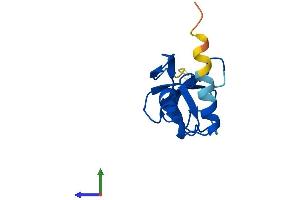 Protein Structure (PS) image for Cysteine-Rich, DPF Motif Domain Containing 1 (CDPF1) (AA 1-119) protein (His tag) (ABIN7559727)