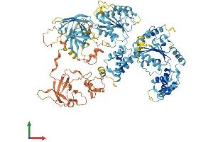 Protein Structure (PS) image for Peroxisomal Biogenesis Factor 6 (PEX6) (AA 1-980) protein (His tag) (ABIN7554936)