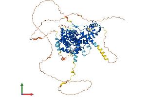 Protein Structure (PS) image for rho GTPase Activating Protein 28 (ARHGAP28) (AA 1-729) protein (His tag) (ABIN7551412)