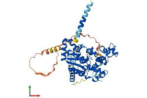 Protein Structure (PS) image for Carbohydrate (Chondroitin 4) Sulfotransferase 12 (CHST12) (AA 1-414) protein (His tag) (ABIN7553289)