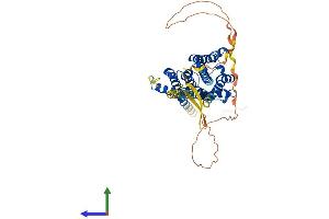 AlphaFold protein structure predicition of Human Recombinant CHRM4 Protein, UniprotID P08173