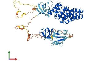 Protein Structure (PS) image for Neutrophil Cytosolic Factor 2 (NCF2) (AA 1-526) protein (His tag) (ABIN7549650)