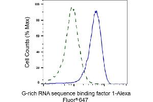 Validation of G-rich RNA sequence binding factor 1 knockdown using flow cytometry. (Recombinant GRSF1 抗体)