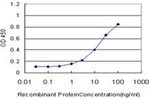 Detection limit for recombinant GST tagged MAML2 is approximately 1ng/ml as a capture antibody. (MAML2 抗体  (AA 796-894))